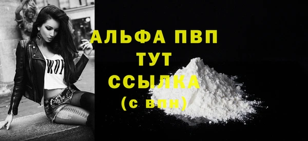 спиды Семёнов