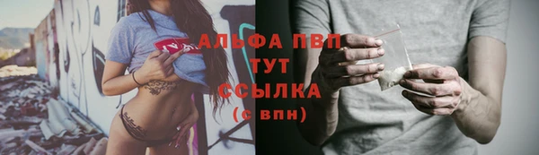 спиды Семёнов