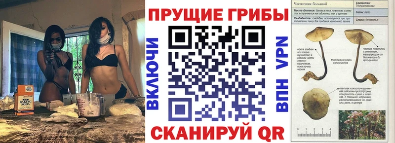 Галлюциногенные грибы ЛСД  Купить закладки  Приморско-Ахтарск 