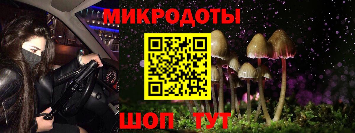 Псилоцибиновые грибы GOLDEN TEACHER Приморско-Ахтарск